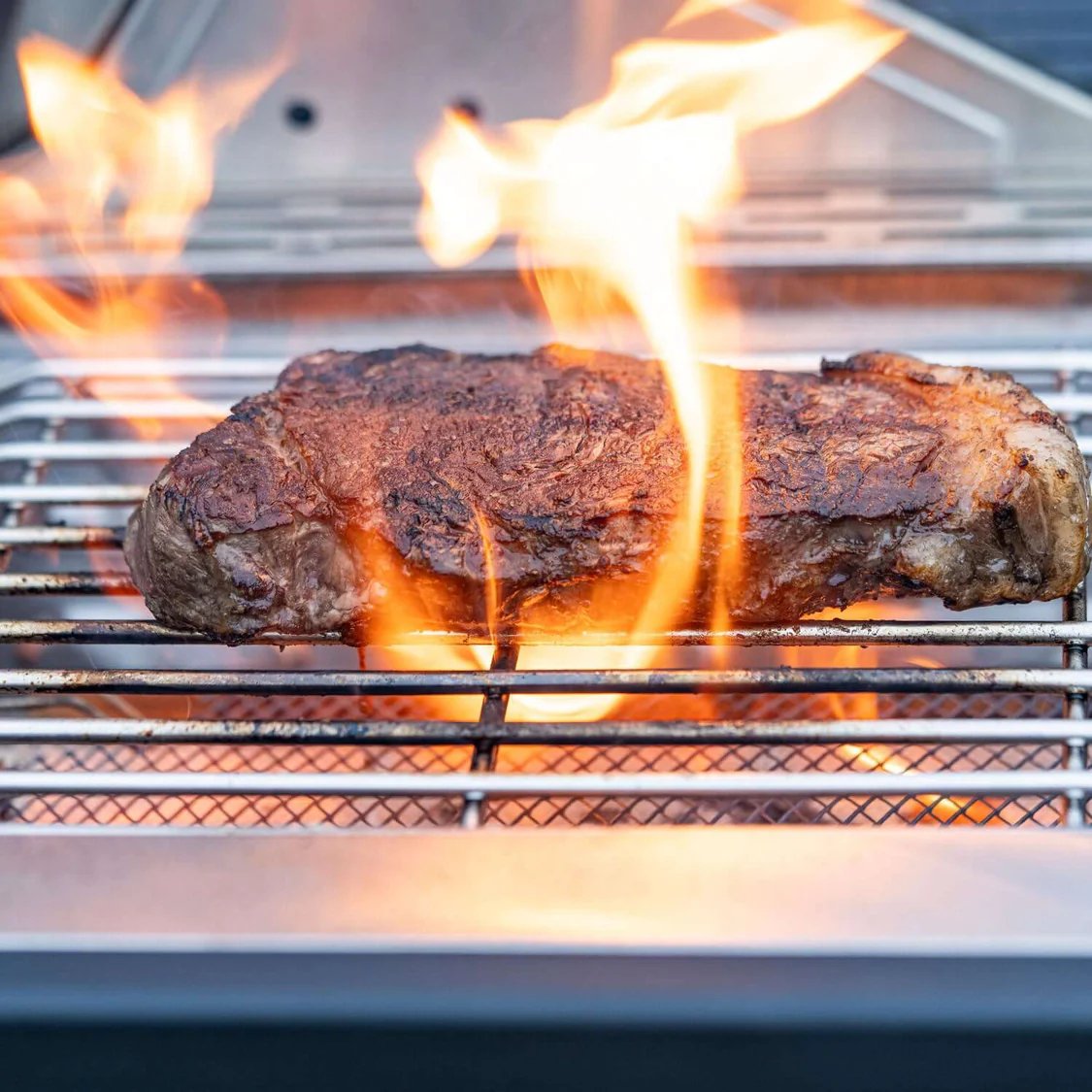 Monument Grills 35633 | Stainless Infrared Propane Gas Grill