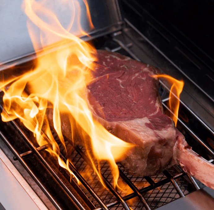Grilled steak on Monument Grills Eminence 605
