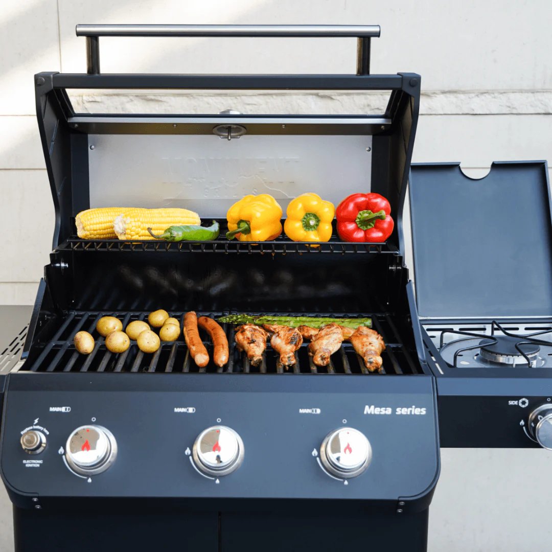 Monument Grills Mesa 325 - food and vegetables in an outdoor setting