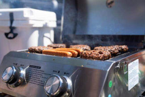 Monument Grills 13742 Stainless Tabletop Propane Gas Grill Portable 15,000 BTU 2-Burner BBQ – SKU 13742