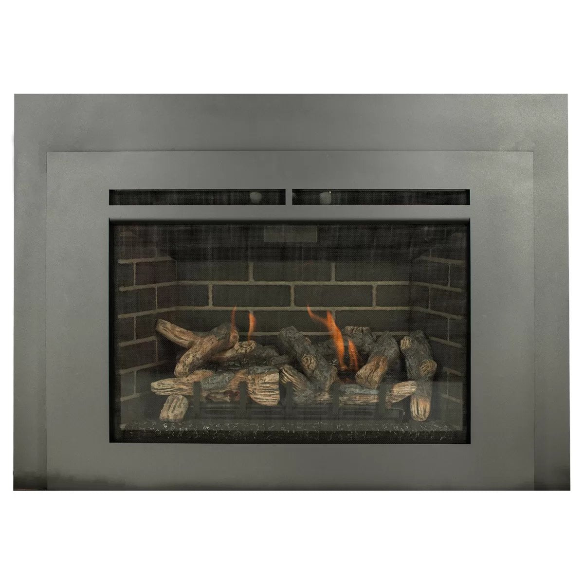 Ashley 32 in. Fireplace Insert AG28I