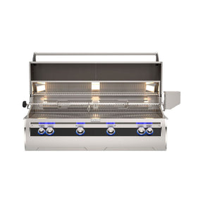 Fire Magic E1060I-9EAN 48-Inch Built-In Natural Gas Grill With Rotisserie & Analog Thermometer - Open 