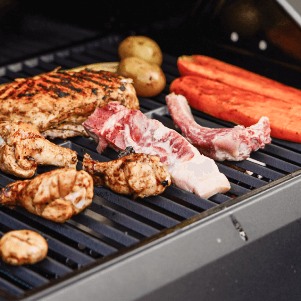 Monument Grills Mesa 220 Foldable Propane Gas Grill Compact Outdoor Grill | Clearview Lid | M220