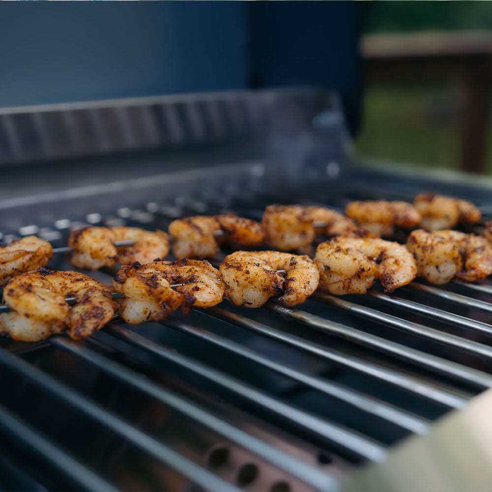 Monument Grills G22 Tabletop Propane Gas Grill Stainless Steel Portable Cooking Grill 15,000 BTU SKU G22