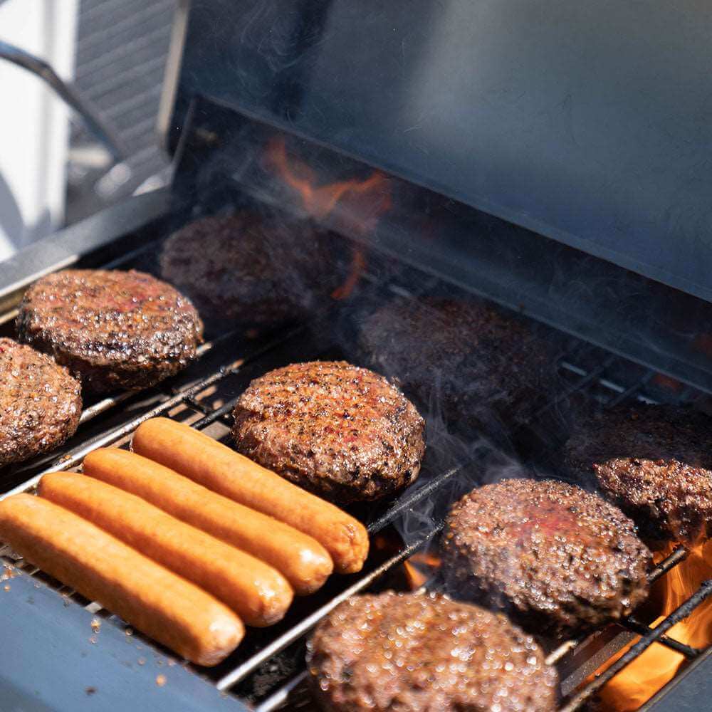 Monument Grills G22 Tabletop Propane Gas Grill Stainless Steel Portable Cooking Grill 15,000 BTU SKU G22