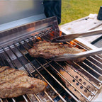 Monument Grills G22 Tabletop Propane Gas Grill Stainless Steel Portable Cooking Grill 15,000 BTU SKU G22