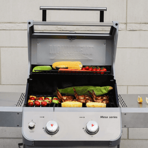 Monument Grills Mesa 200S Foldable Stainless Steel Gas Grill with Clearview Window Lid M200S