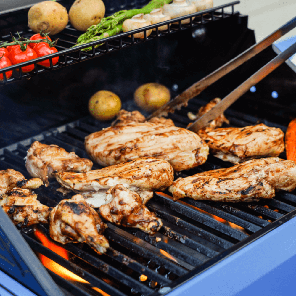 Monument Grills Mesa 200S Foldable Stainless Steel Gas Grill with Clearview Window Lid M200S