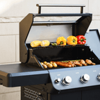 Monument Grills Mesa 325 Black Propane Gas Grill 48,000 BTU Clearview Lid 570 sq in Cooking Area M325