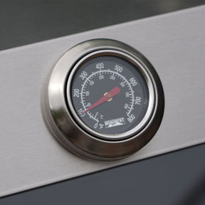 Mesa 415BZNG | Stainless Natural Gas Grill